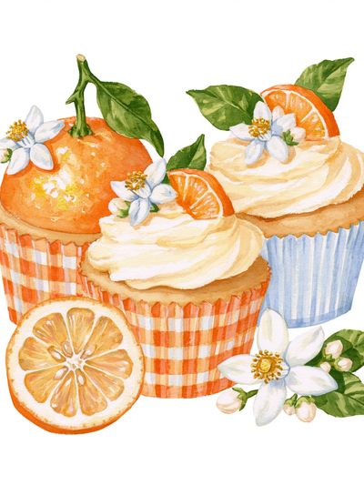 Orange Cupcakes Watercolor Print. poster