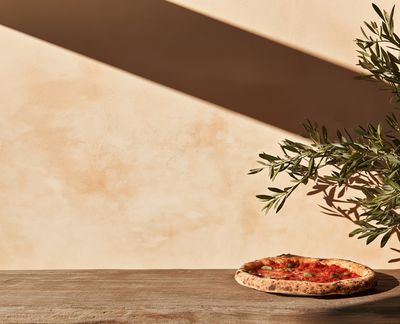 Rustic Pizza Still Life Poster. poster