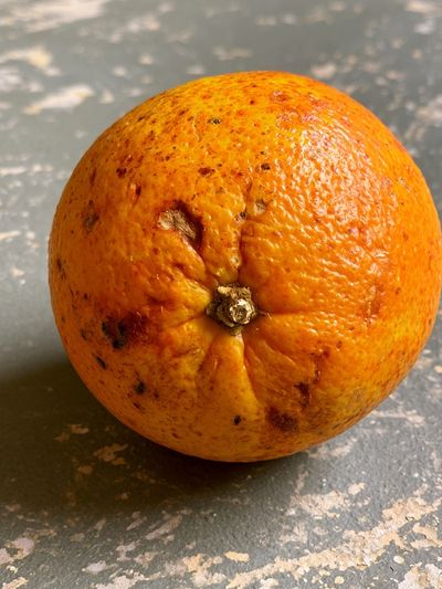 Orange Still Life Photography Poster.