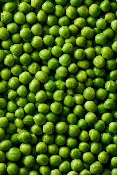Green Peas Macro Photography Poster.