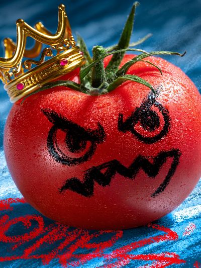 Crowned Tomato Surreal Print.