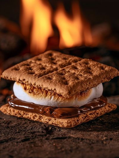 Campfire S'mores Photography Poster.