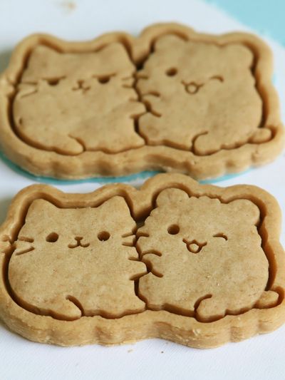 Cat Cookie Illustration Print.