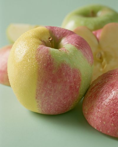 Pastel Apples Photography Poster.