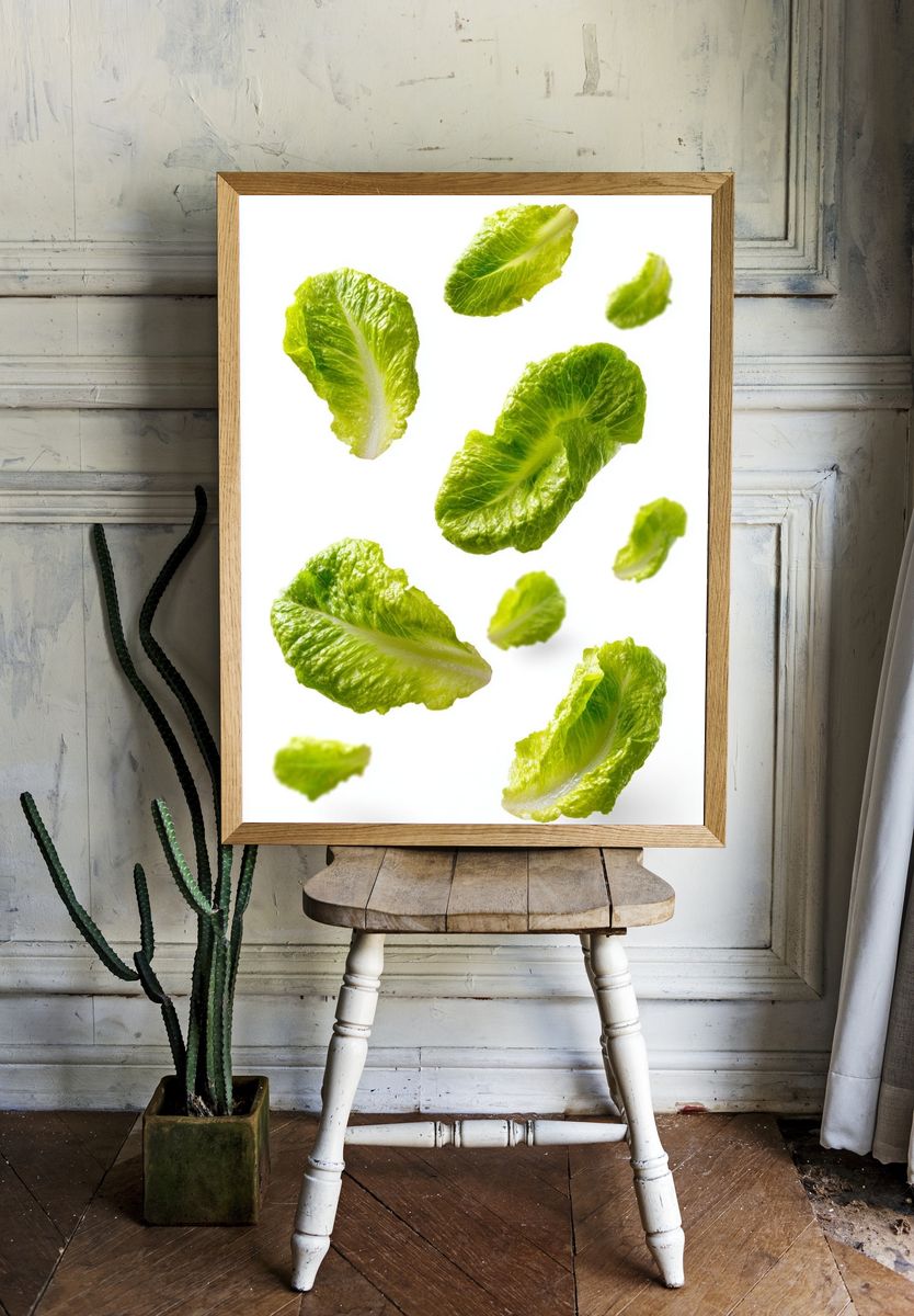 Floating Lettuce Leaves Photography Poster room preview