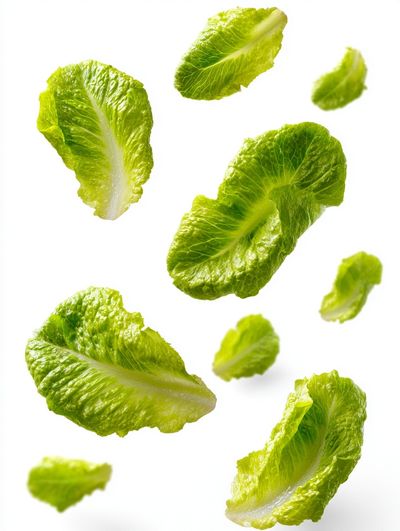 Floating Lettuce Leaves Photography Poster
