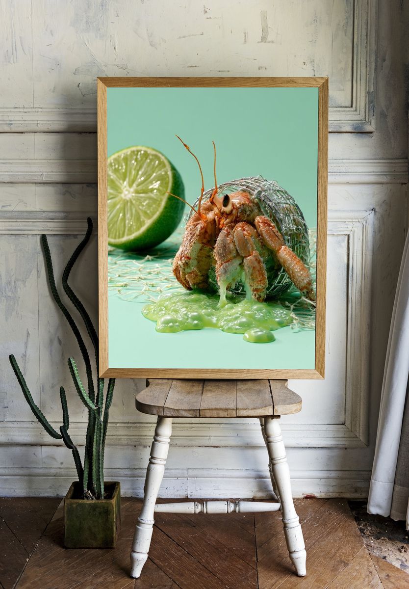 Hermit Crab and Lime Still Life Poster. room preview