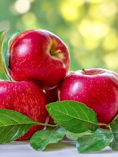 Red Apples Still Life Poster