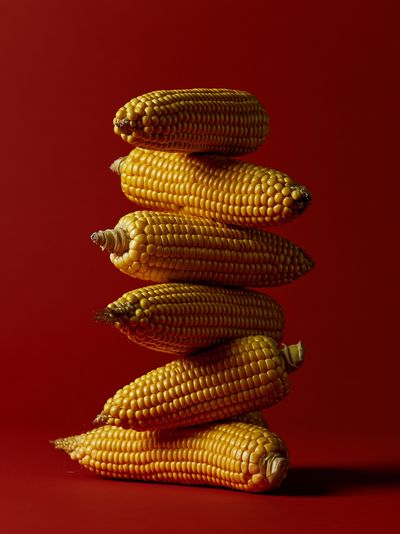 Stacked Corn Still Life Poster.
