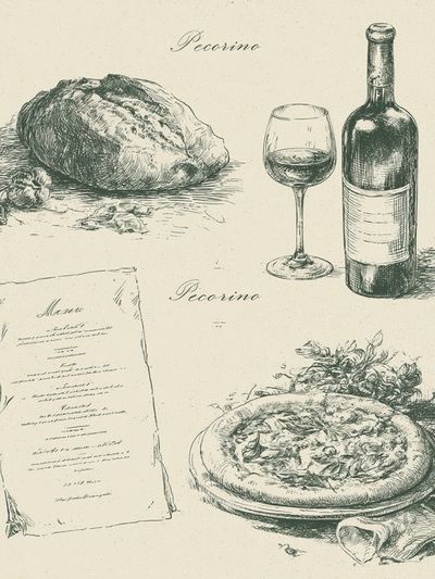 Pecorino Wine Sketch Poster. poster
