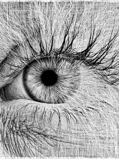 Human Eye Sketch Poster.