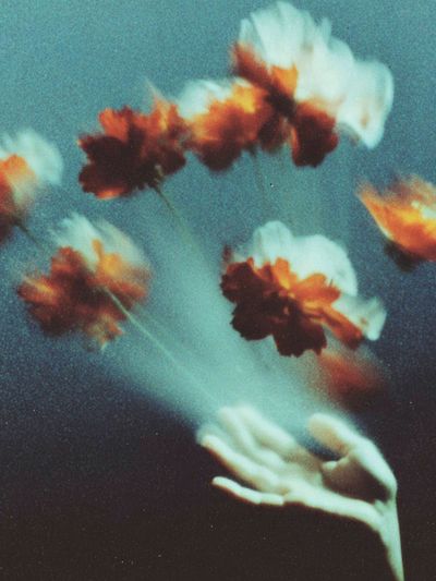 Floating Flowers — Fine Art Print. poster print
