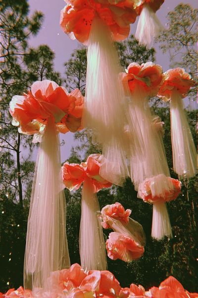 Floating Floral Dream — Art Print. poster print