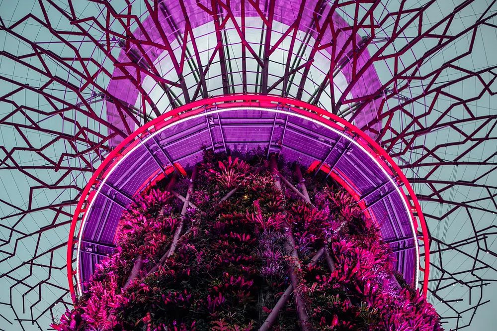 Futuristic Garden — Photography Print. poster — photography art
