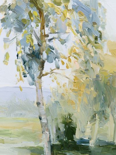 Birch Trees in Soft Light Print. poster