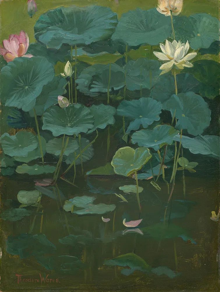 Buddha's Flowers: Lotus, Tokyo (1894). poster detail