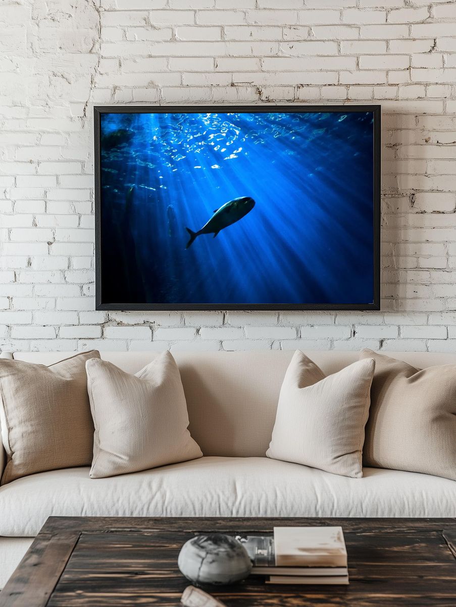 Underwater Fish Photography Poster. — room view 1