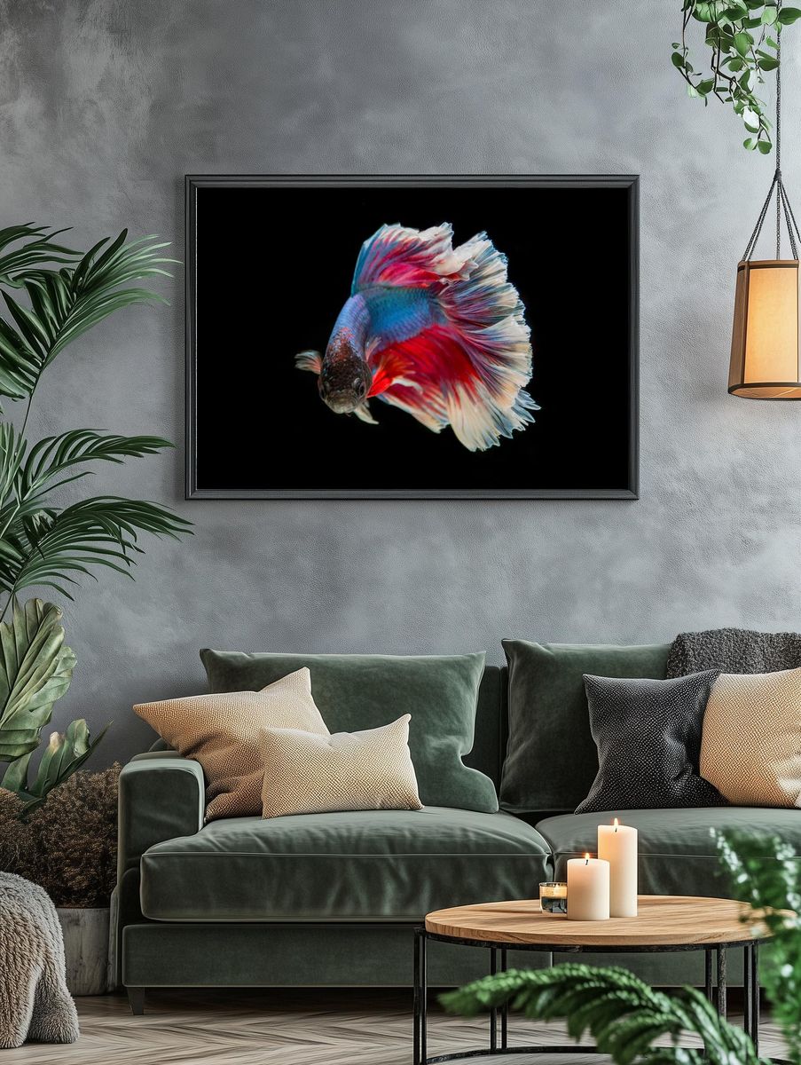 Colorful Betta Fish — Photography Print. — room view 4