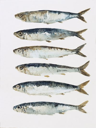 Watercolor Fish Illustration Poster. poster print