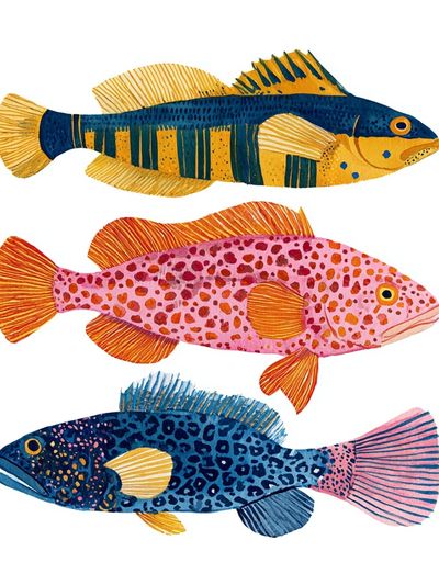 Colorful Fish Illustration Poster. poster