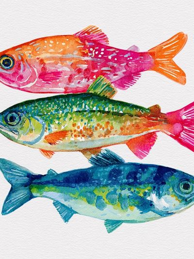 Colorful Fish Watercolor Print. poster print