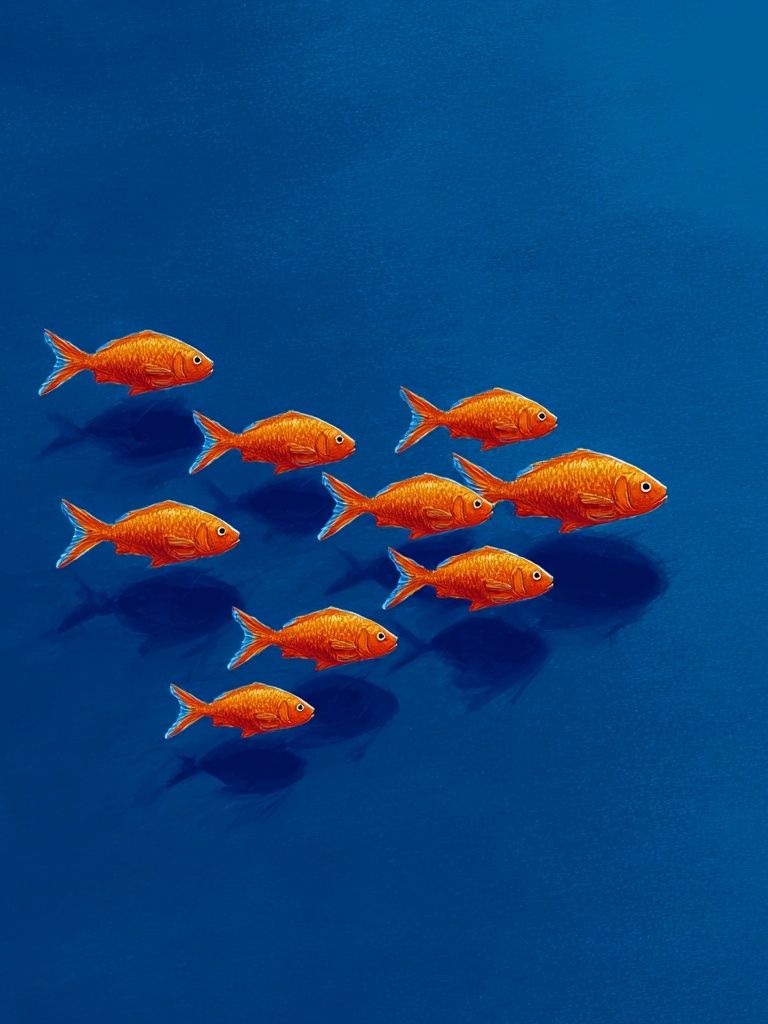 Goldfish Schooling — Illustration Print. poster — illustration art