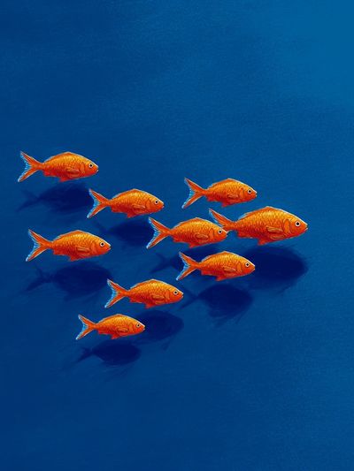 Goldfish Schooling — Illustration Print. poster print