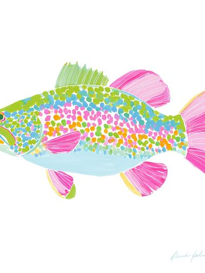 Colorful Trout Fish — Illustration Print. poster print