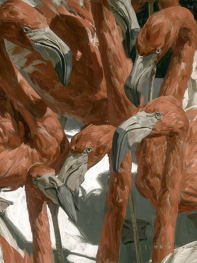 Flamingo Flock Illustration Poster. poster