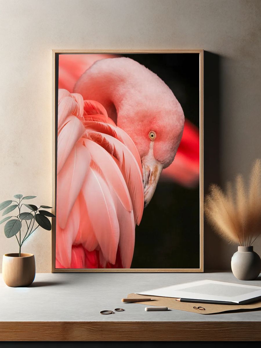 Flamingo Close-Up Photography Poster. — room view 2