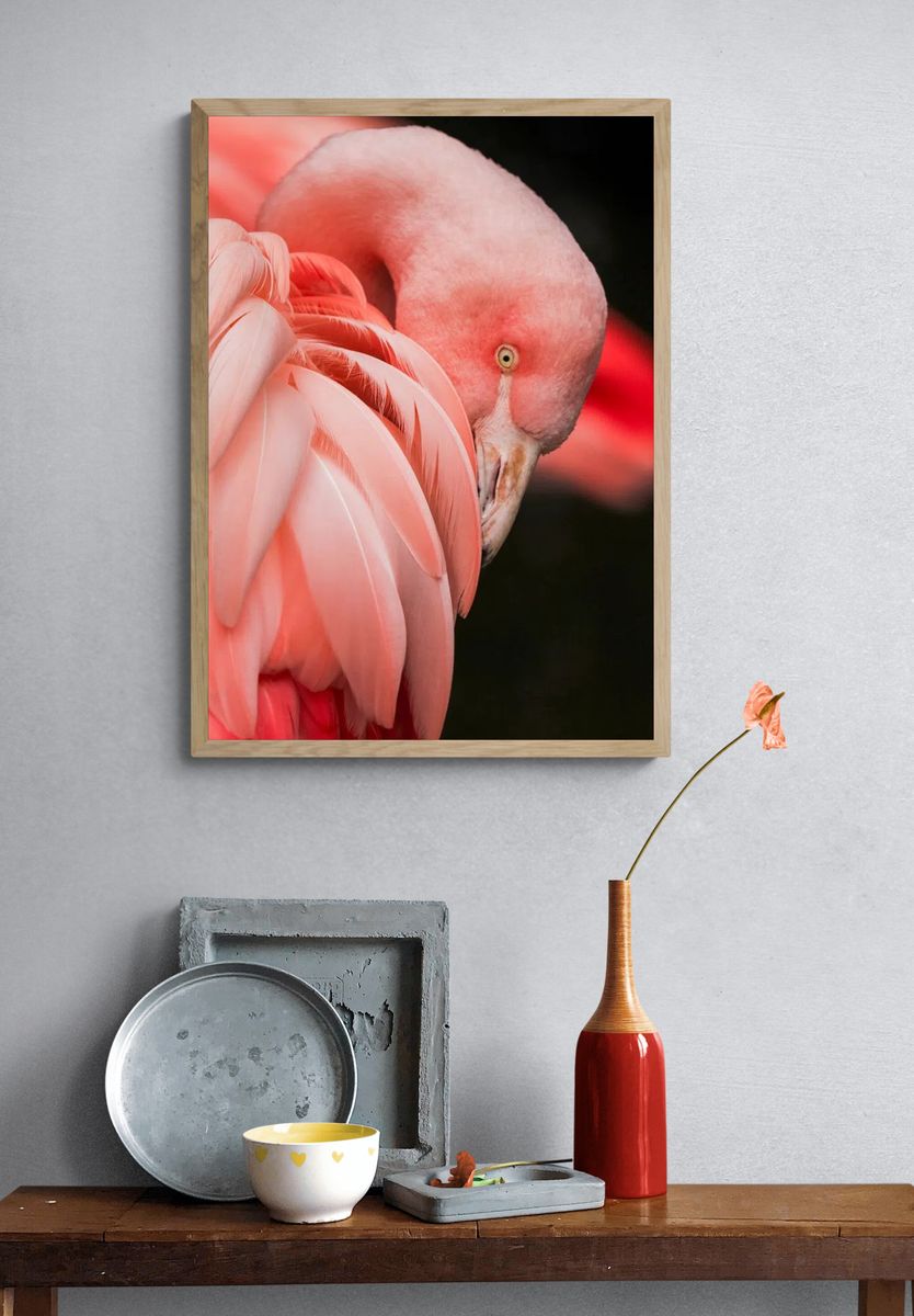 Flamingo Close-Up Photography Poster. — room view 3