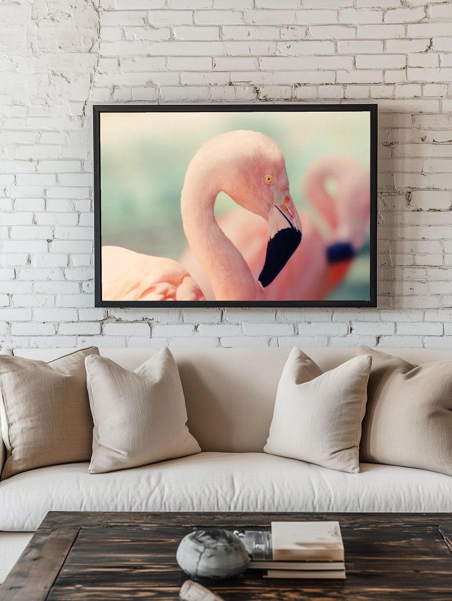 Flamingo closeup. room preview