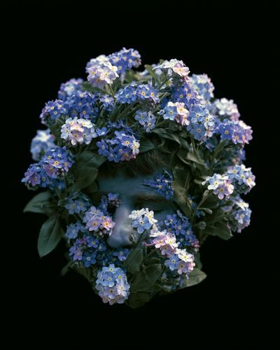 Floral Face Portrait Print. poster