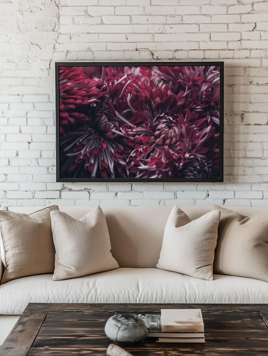 Chrysanthemum Floral Photography Poster. — room view 1