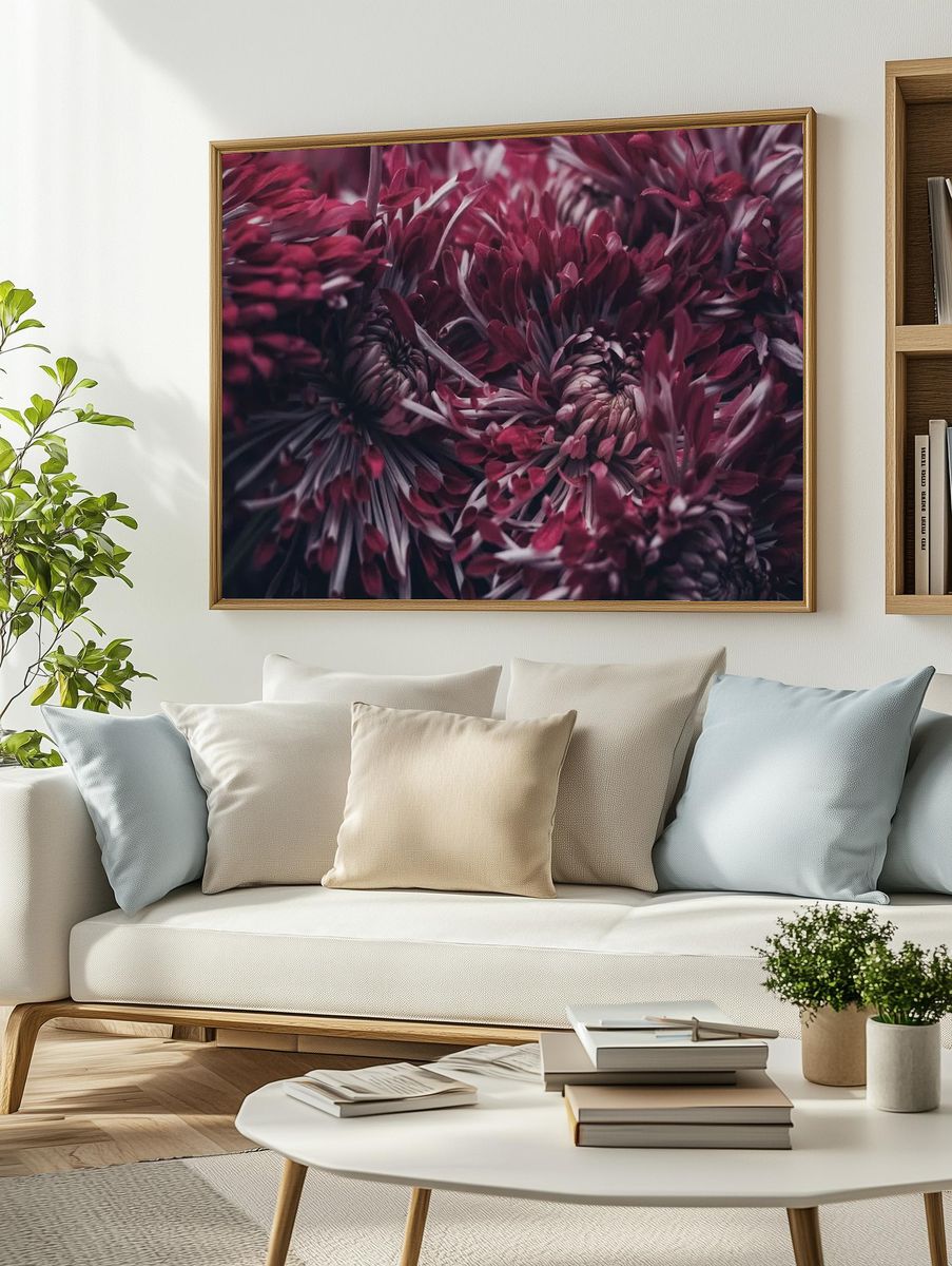 Chrysanthemum Floral Photography Poster. — room view 2