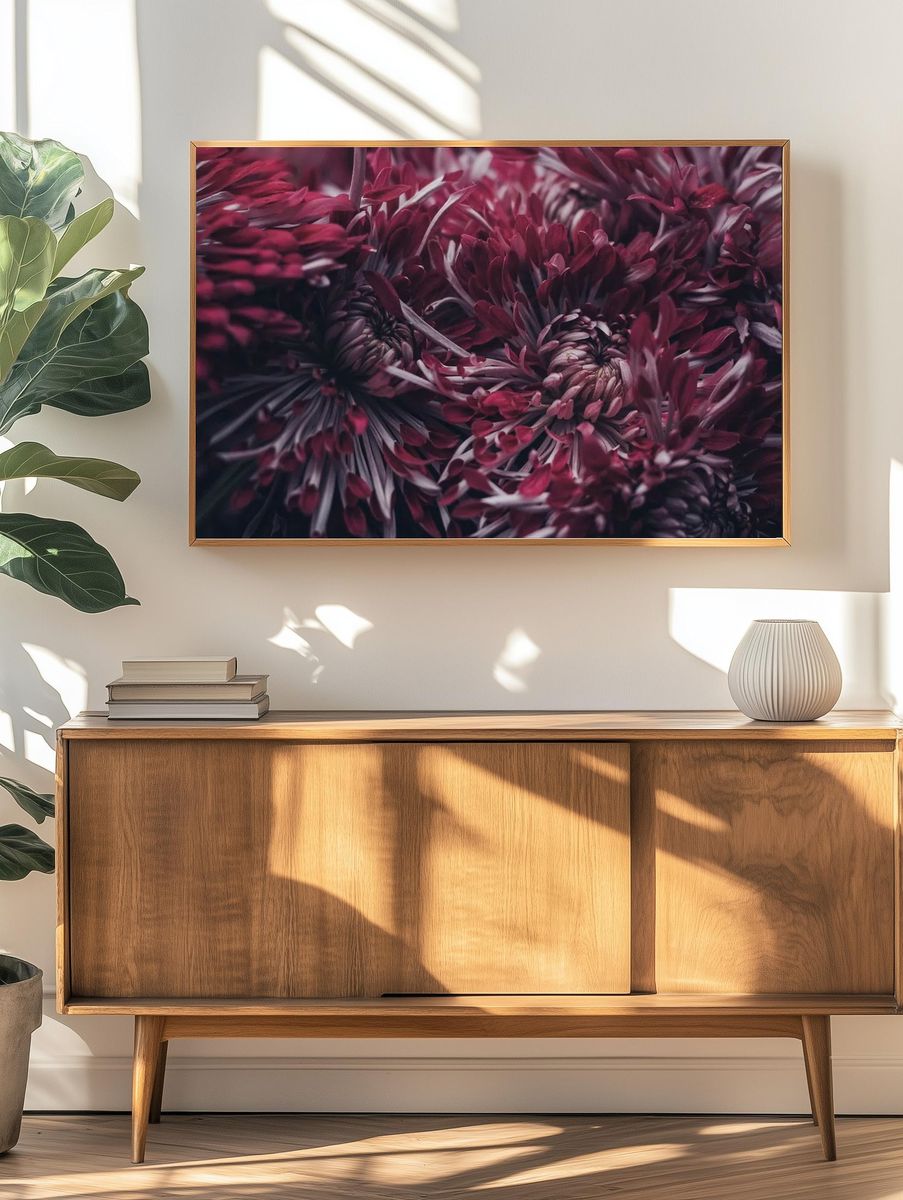 Chrysanthemum Floral Photography Poster. — room view 3