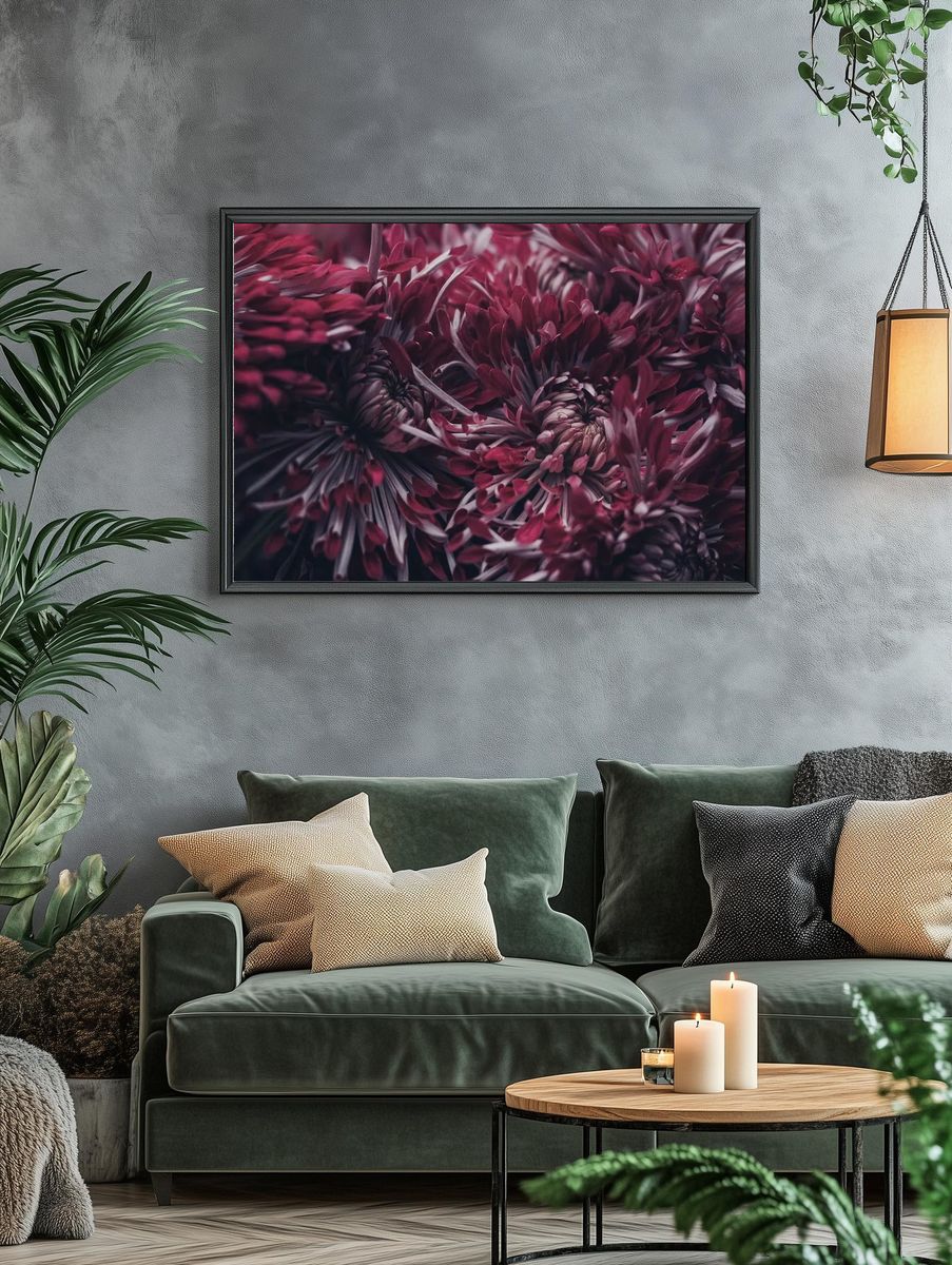 Chrysanthemum Floral Photography Poster. — room view 4