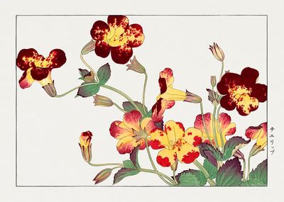 Charming Floral Illustration Poster. poster print