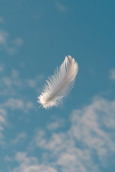 Floating Feather Sky Poster. poster