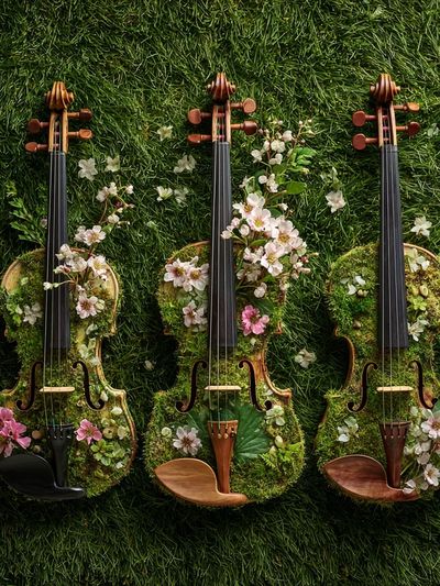 Floral Violin Trio — Nature Print. poster