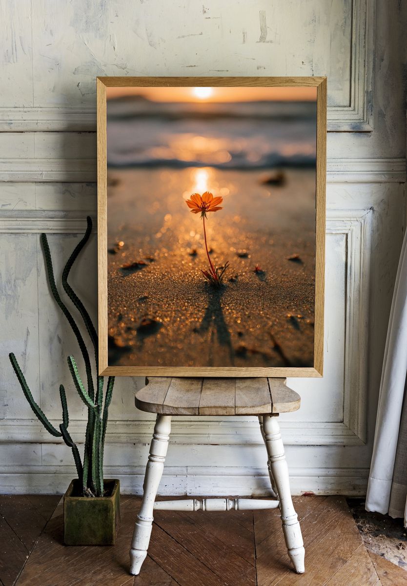 Lonely Flower at Sunset Poster. — room view 1