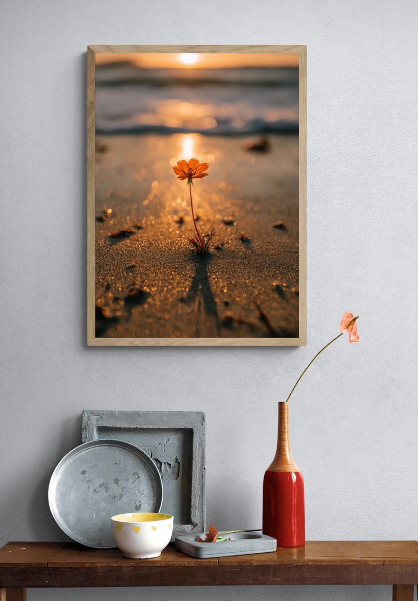 Lonely Flower at Sunset Poster. — room view 3