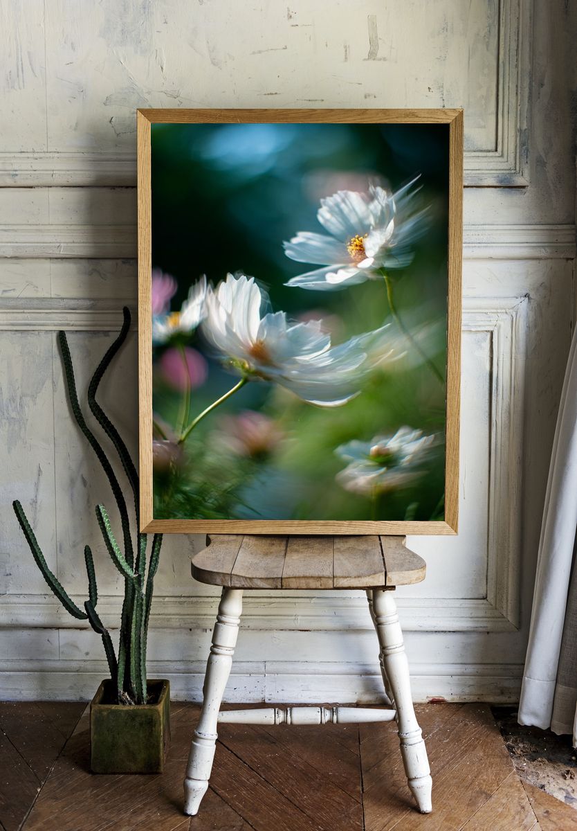 Delicate White Flowers — Photography Print room preview