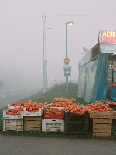 Foggy Market Scene — Photography Print. poster print