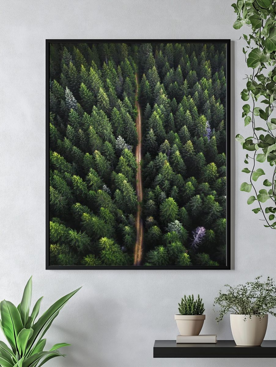 Drone view green forest dirt. — room view 4