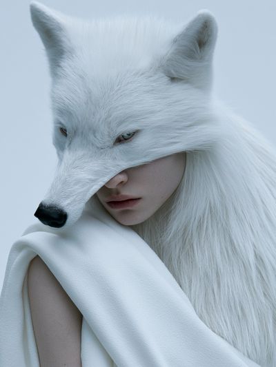 White Fox Portrait Print. poster