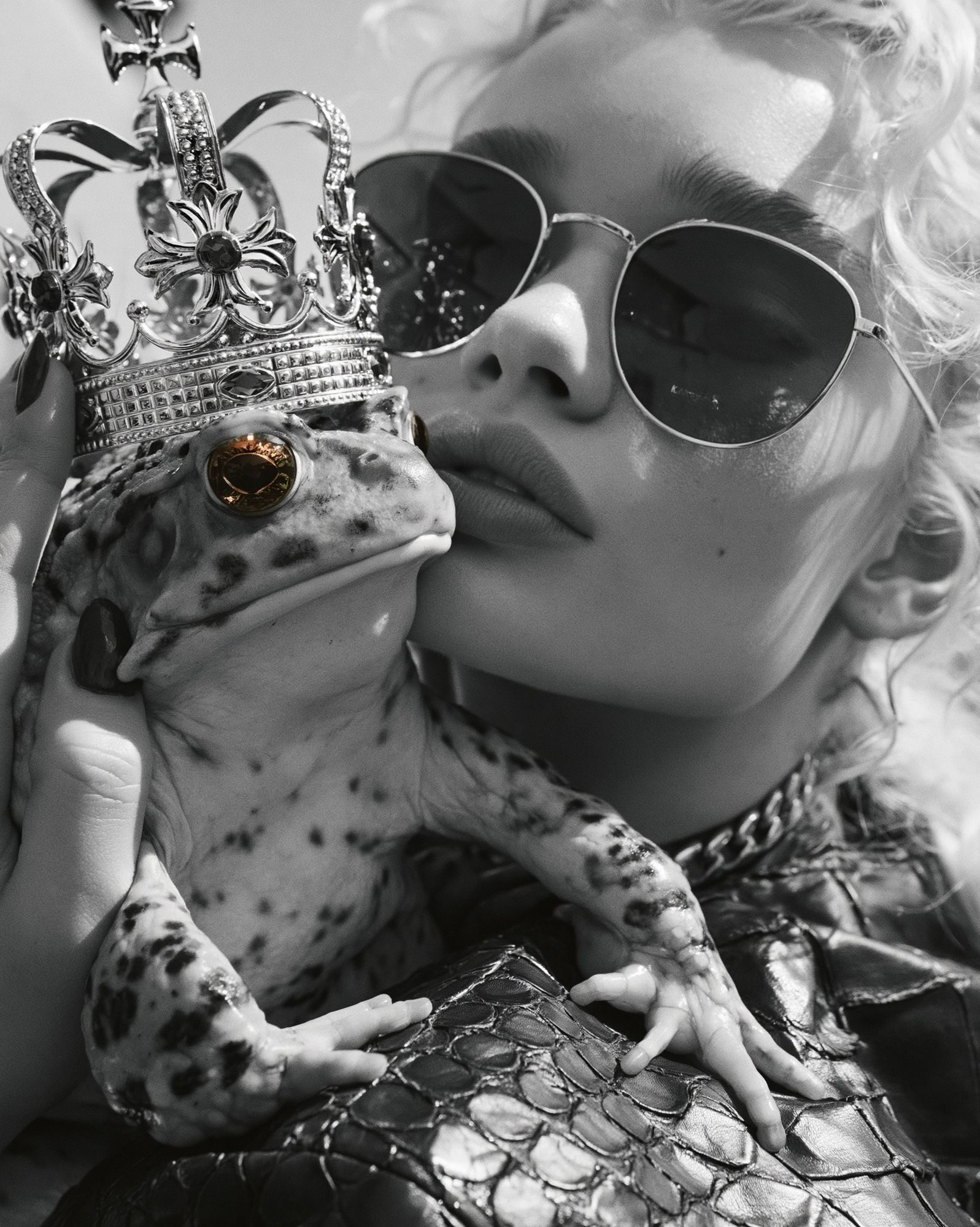Crowned Frog Portrait Print. poster — photography art