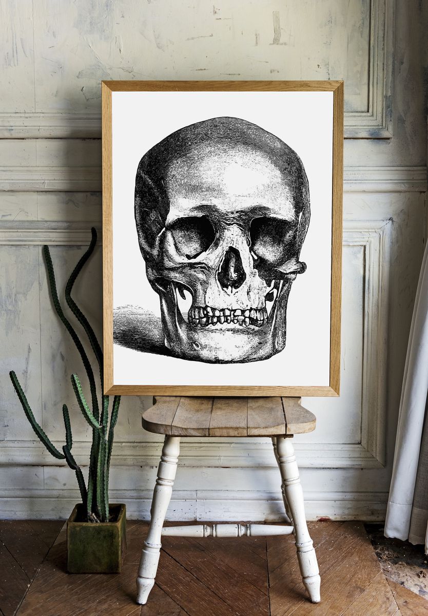 Vintage European style skull engraving. room preview