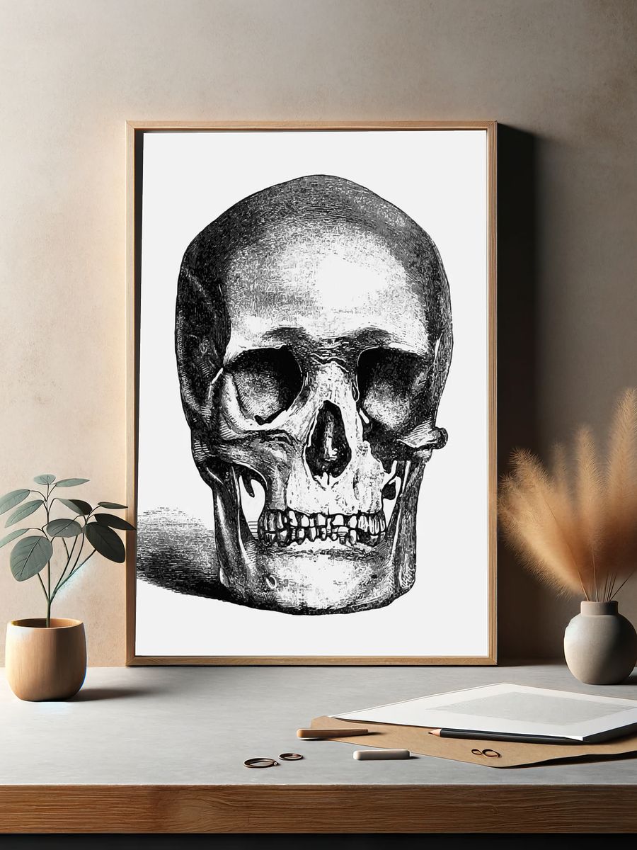 Vintage European style skull engraving. — room view 2