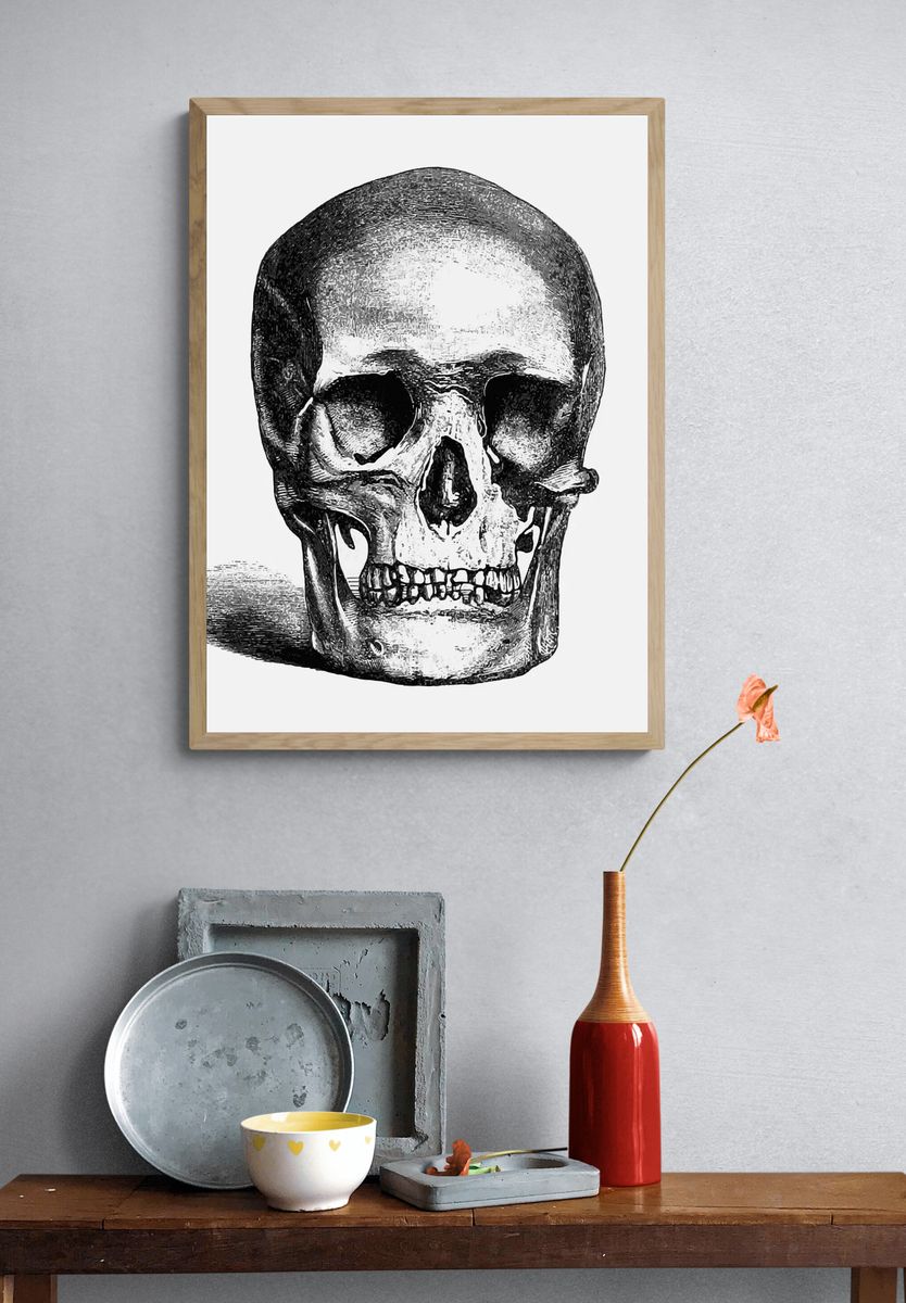Vintage European style skull engraving. — room view 3